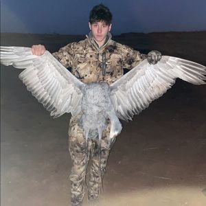 Meet your Posher, Holton